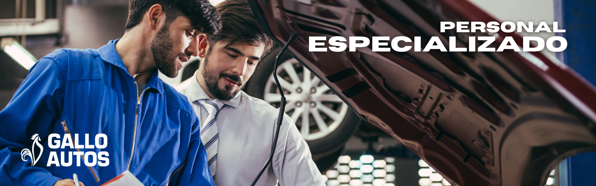 personal especializado (1)